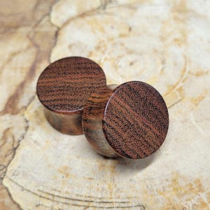 Pair of Chechen Plugs Double Flare Gauges Wooden Earrings Jewelry Organic Wood Stretchers