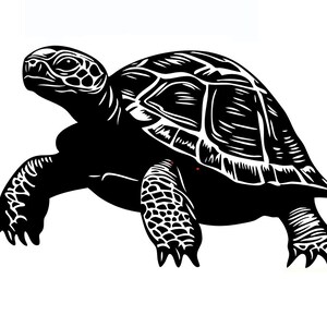May include: A black and white illustration of a turtle walking. The turtle's shell has a detailed pattern, and its legs and head are also intricately designed. The image is set against a plain white background.