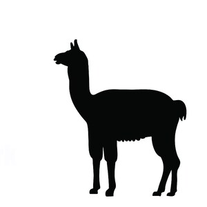 Vinyl Decal - llama decal llama sticker llama car decal llama laptop decal * more sizes available * contact to customize