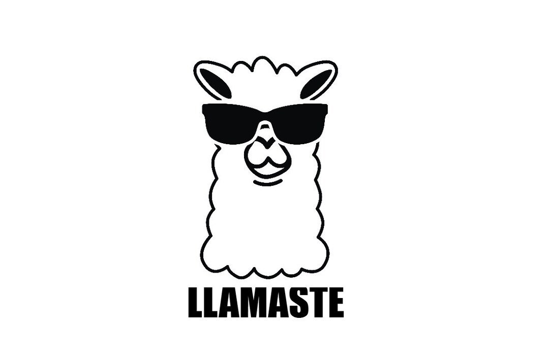 Vinyl Decal - Llamaste Llama Laptop Sticker Laptop Decal Book Decal Car ...