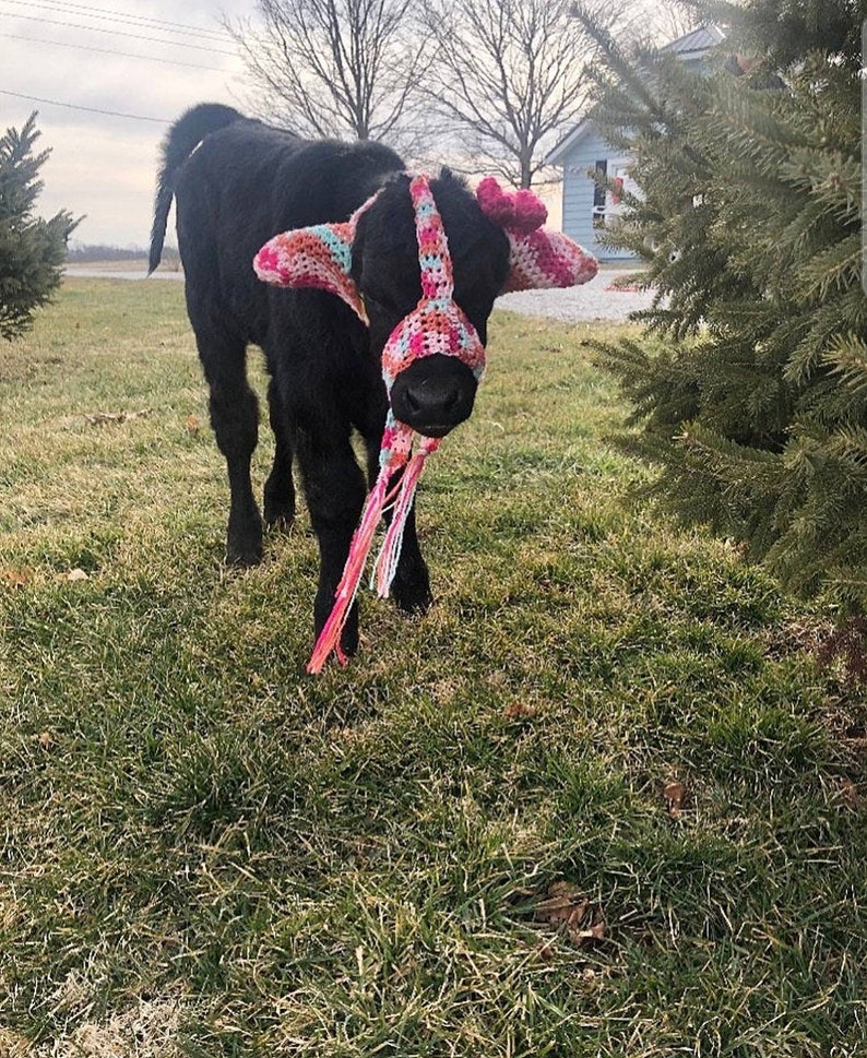 Moo Muffs, Cow Ear Muffs, Calf Ear Muffs, Cow Headband and bow image 1