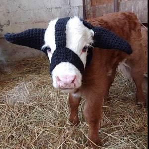 Moo Muffs, Cow Ear Muffs, Calf Ear Muffs, Cow Headband and bow image 4