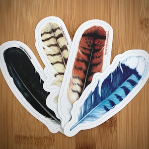 Feather Sticker Pack | Bird Sticker, Vinyl Sticker, Durable Weatherproof sticker, Outdoor sticker, Nature sticker, Mystical, Metaphysical
