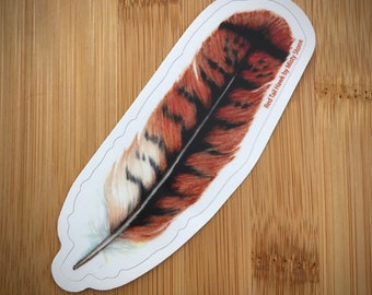 Red Tailed Hawk Feather Sticker | Bird Sticker, Outdoor Sticker, Nature Sticker, Durable Weatherproof Vinyl Sticker, Mystical, Metaphysical