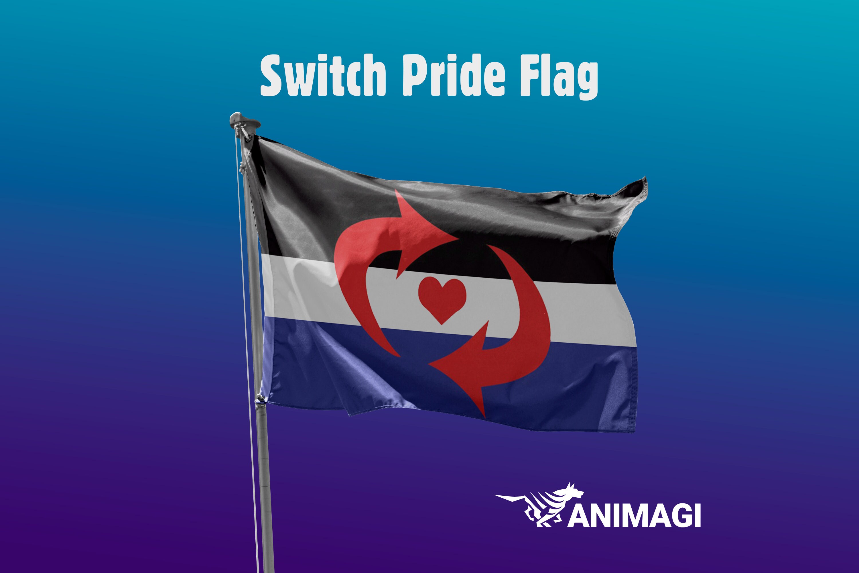 Switch Pride Flag 5'x3' // 1.5mx0.9m 100 Etsy