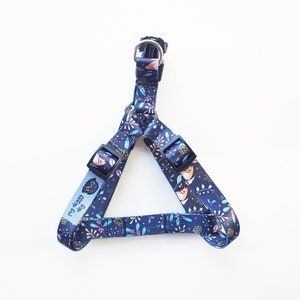 May include: A blue dog harness with a floral pattern and the text "my doggy dog" on one strap.