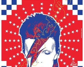 Concertposters van David Bowie!