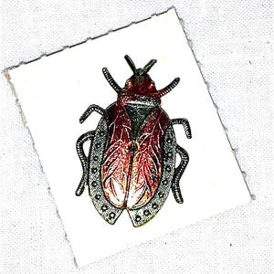 Può includere: Un insetto rosso e nero con dettagli intricati, che ricorda un coleottero o un insetto, con una finitura metallica. L'insetto è su uno sfondo bianco.