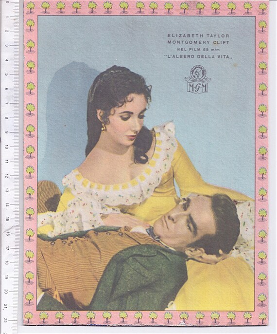 L'albero della vita 1957  Metro Golden Mayer italy  vintage hard paper color movie photo - cartoncino fotografia cinema Liz Taylor