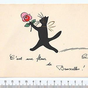C'est une fleur de Bruxelles 60s Belgio cartolina postcard romantica gatto nero painting