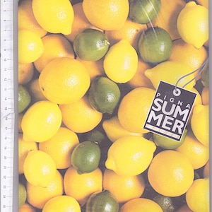 LEMON 90s Pigna italy stationery letter set - sealed letter paper 10 + 10