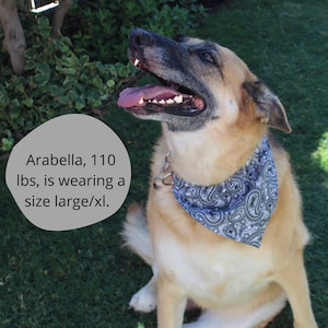 Unique Triangle Dog Bandanas for Every Pup&#39;s Personality - Available in 4 Sizes and Fun Patterns