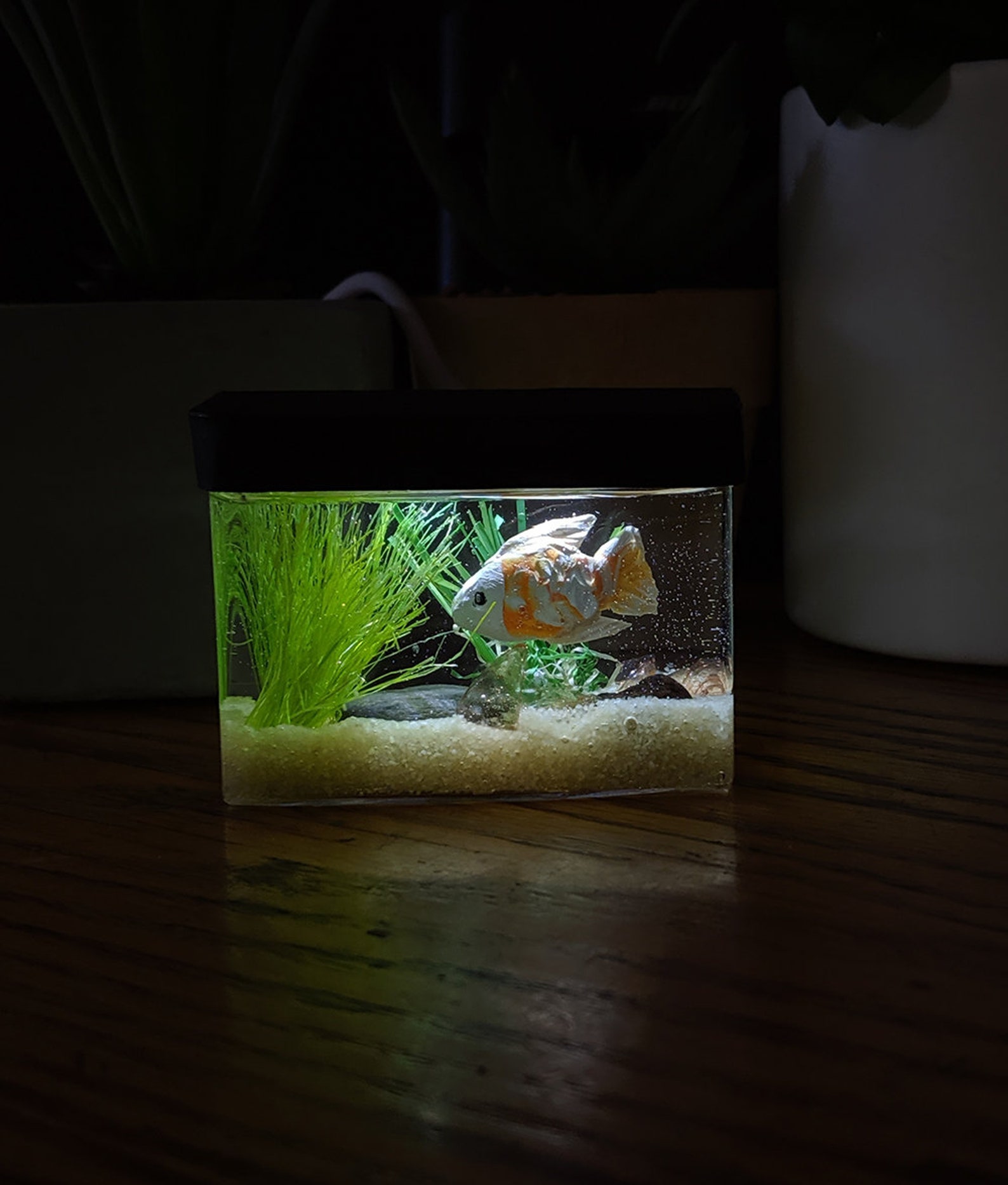 Made to Order miniature aquarium with optional lighted hood Etsy