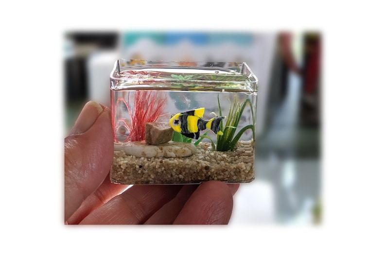 The 5 Best Epoxy Fish Tank Reviews of All Time 2