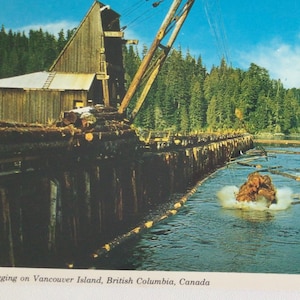 millésime Colombie-Britannique Carte postale, Exploitation forestière sur l'île de Vancouver, Colombie-Britannique, Canada