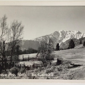 Vintage B.C. Canada Postcard, Richter Pass Road, B.C. Rural Mountain Scene