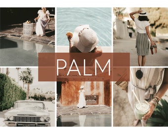 6 ajustes preestablecidos de Lightroom móvil Palm, ajustes preestablecidos de Lightroom de escritorio, ajustes preestablecidos móviles para Instagram, ajustes preestablecidos de luz, filtro de fotos Lr DNG