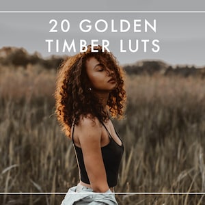 20 GOLDEN HOLZ LUTs für Videos / Adobe Premiere Pro / After Effects / Final Cut Pro