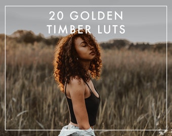 20 LUTS DE MADERA DORADA para Vídeos / Adobe Premiere Pro / After Effects / Final Cut Pro