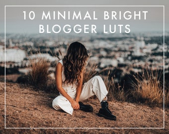 10 minimale BRIGHT Blogger LUT's voor video's / Adobe Premiere Pro / After Effects