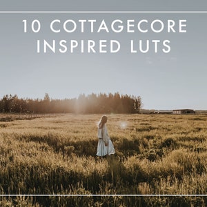 10 COTTAGECORE INSPIRED LUTs for Videos / Adobe Premiere Pro / After Effects / Final Cut Pro