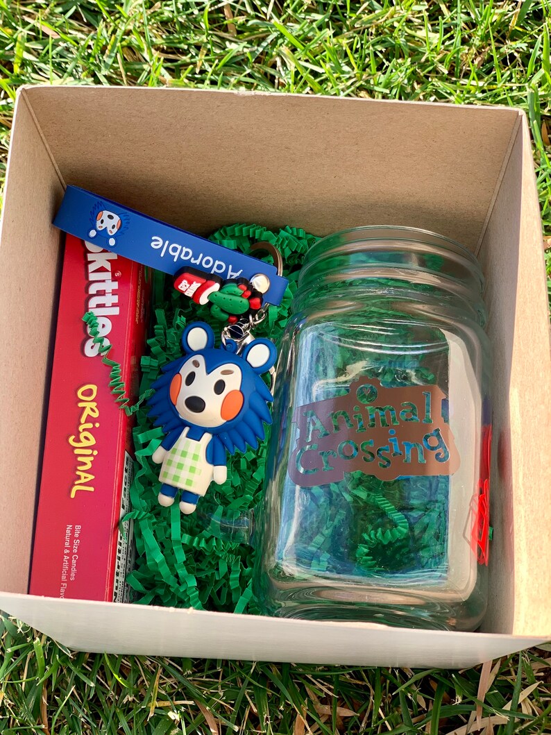 Animal Crossing Gift Box. Mason Jar Drinking Glass & 3D Etsy