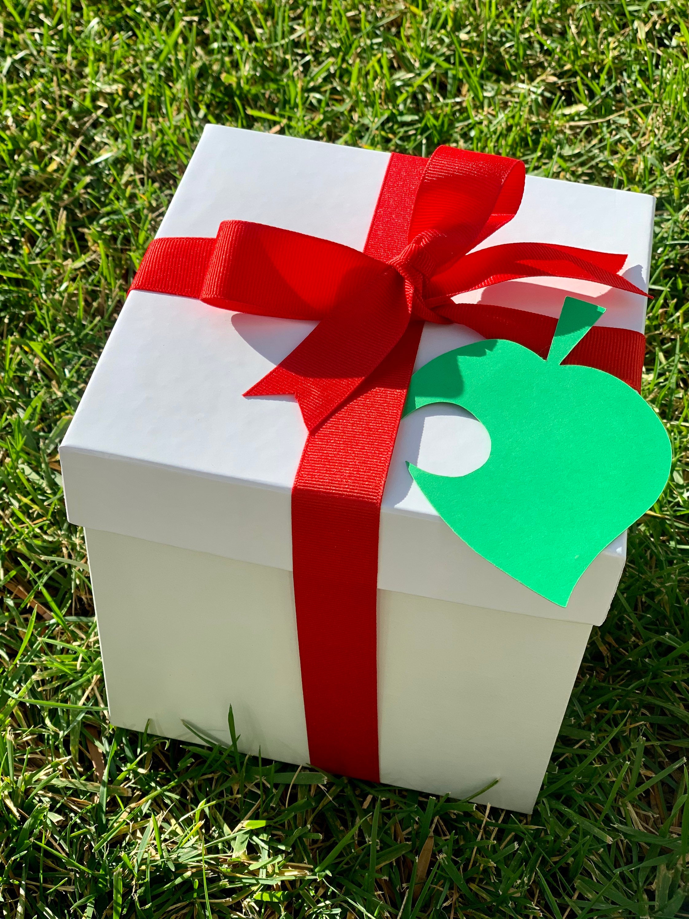 Animal Crossing Candy Box w. Mason Jar Drinking Glass | Etsy