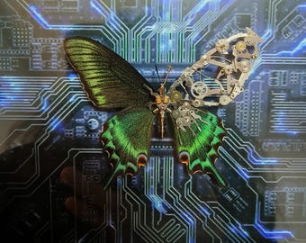 Steampunk Butterfly, Mechanical Butterfly Specimen Photo Frame Ornaments, High-end Gifts,Handmade Home Decor Gift