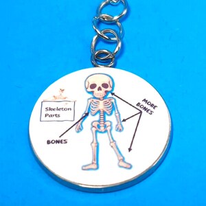 Charm Skeleton Parts - 1" or 1.25" Design - Badge Reel Charm - Radiology, Ortho         CH-M1012A