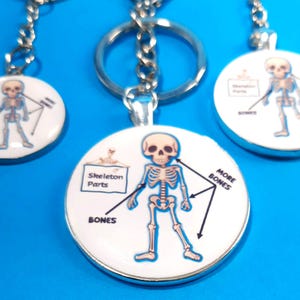 Key Chain Skeleton Parts - Great gift for radiology!                           KC-M1012A