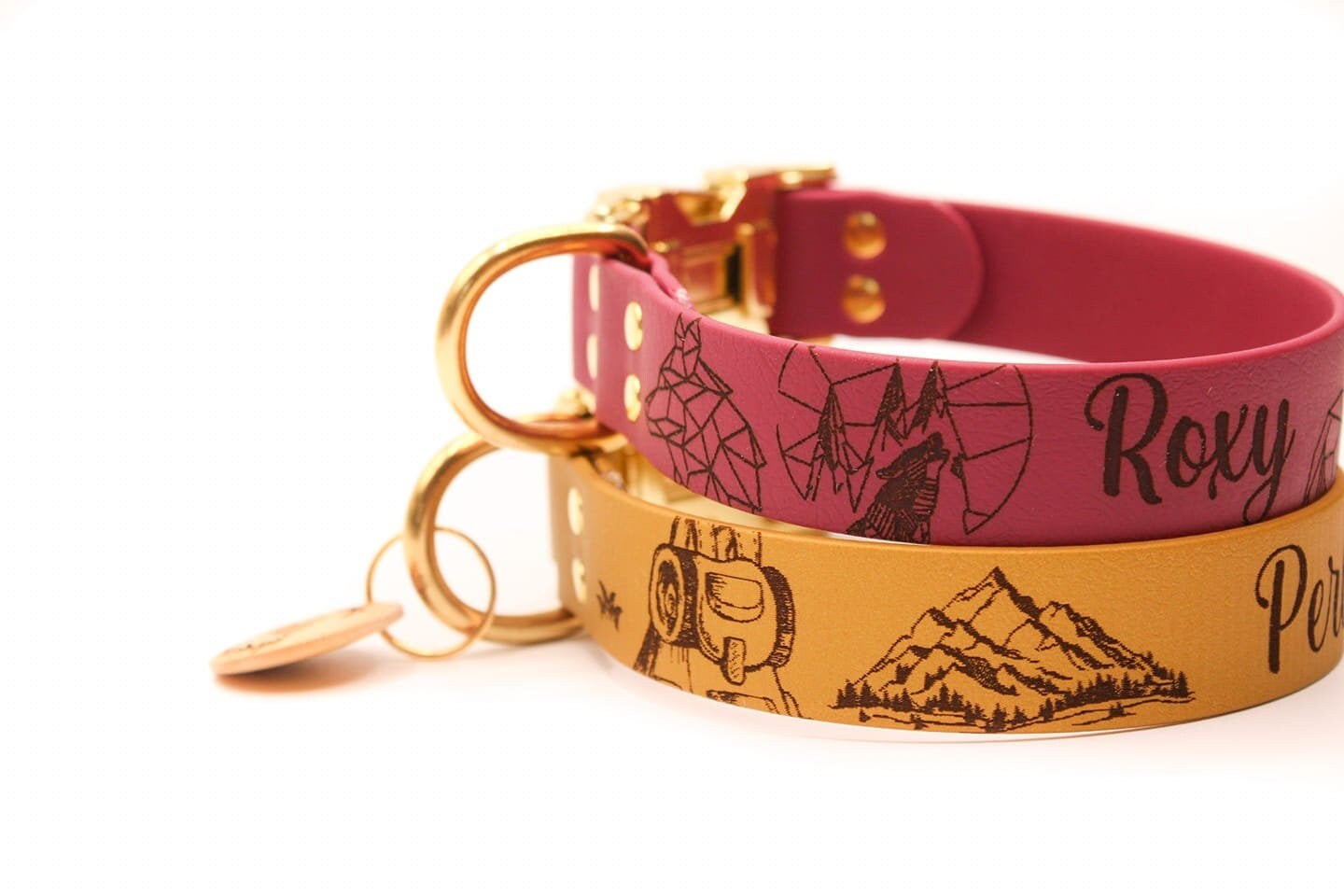 Collier en Biothane Personnalisable 2, 5cm - Boucle Rapide