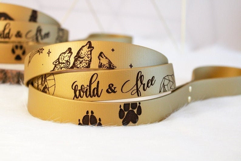 Laisse en Biothane - Gravure à Thème