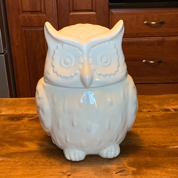 Threshold Ivory Owl Stoneware Cookie Jar - Excellent Condition