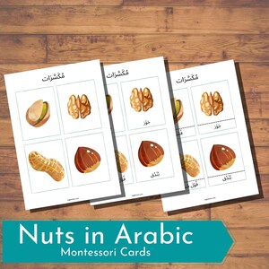 8 Nuts Montessori Cards in Arabic