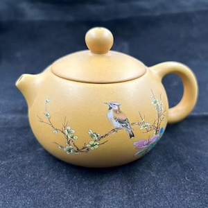 Può includere: Piccola teiera gialla con coperchio e manico. La teiera è decorata con un uccello dipinto appollaiato su un ramo con fiori. La teiera è di colore giallo chiaro.