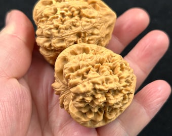 Juego de mano de nogal natural emparejado coleccionable Pf983