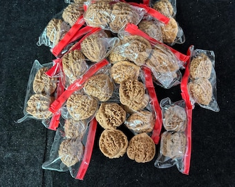 May include: A collection of brown, textured walnut shells individually encased in small, clear plastic bags with red zipper seals. The shells exhibit natural, intricate, and irregular patterns across their surfaces, arranged in a loose cluster.