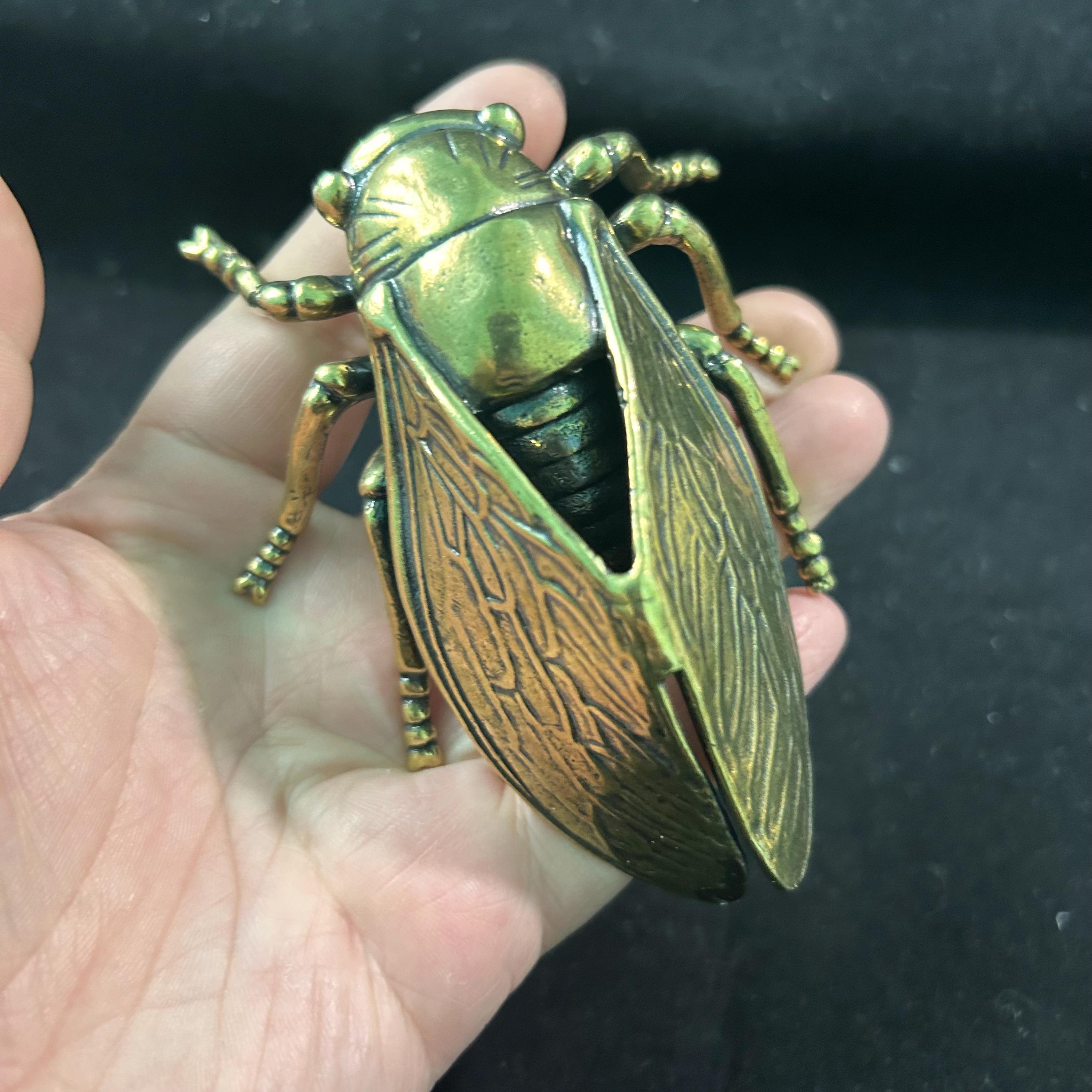 Fine Crafted Brass Cicada Vintage Patina Handheld Collectible