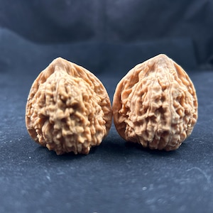 Natural Wild Wenwan Walnut Pair Uncarved Palm Walnut Chinese Feng Shui Collectible Zen Hand Decor Gift
