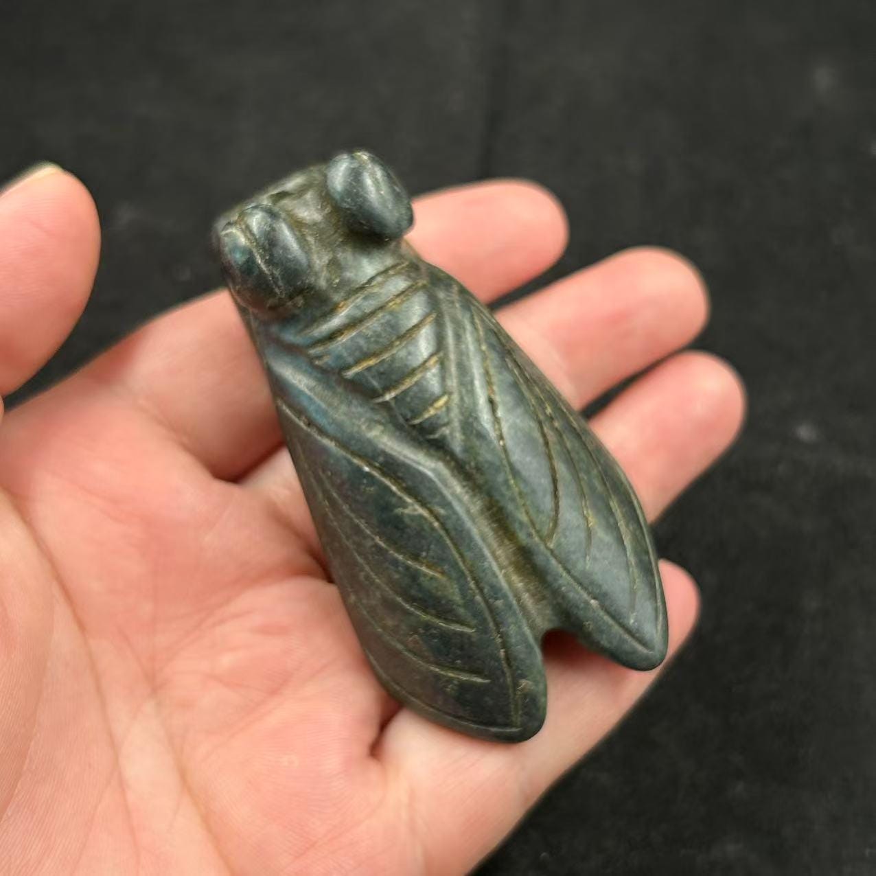 アンティーク隕石の蝉ペンダント、古代中国の紅山置物、黒翡翠の 