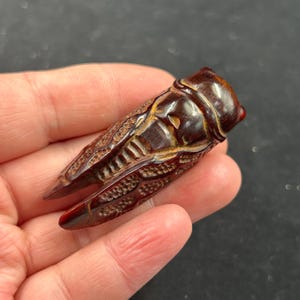 Puede incluir: Una detallada talla de cigarra marrón. El insecto está tallado en madera oscura, con intrincados detalles en las alas y el cuerpo. La cigarra se sostiene en una mano, mostrando la artesanía.