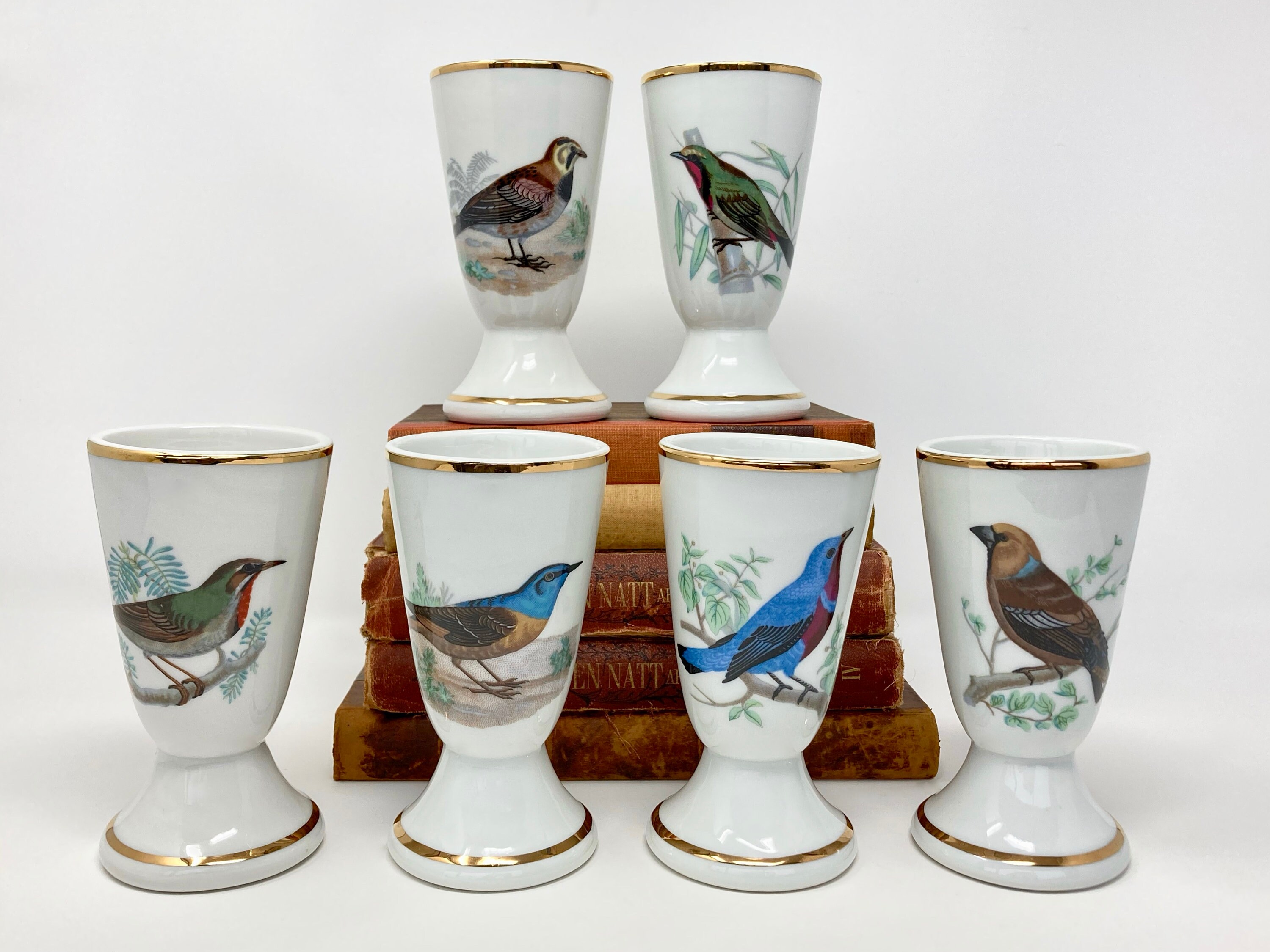 Ensemble de 6 Tasses à Café en Porcelaine Vintage Français avec Motifs d'oiseaux, Mazagrans Luxe Chi