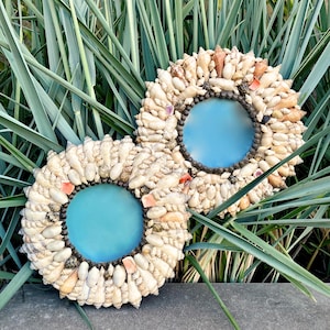 May include: Two round picture frames made of seashells with a blue background. The frames are arranged in a circle and are surrounded by green foliage.