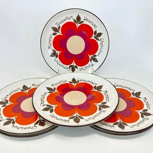 Set of 6 Vintage 1970s French Cheese Plates by Gien, Colorful Vintage French Tableware