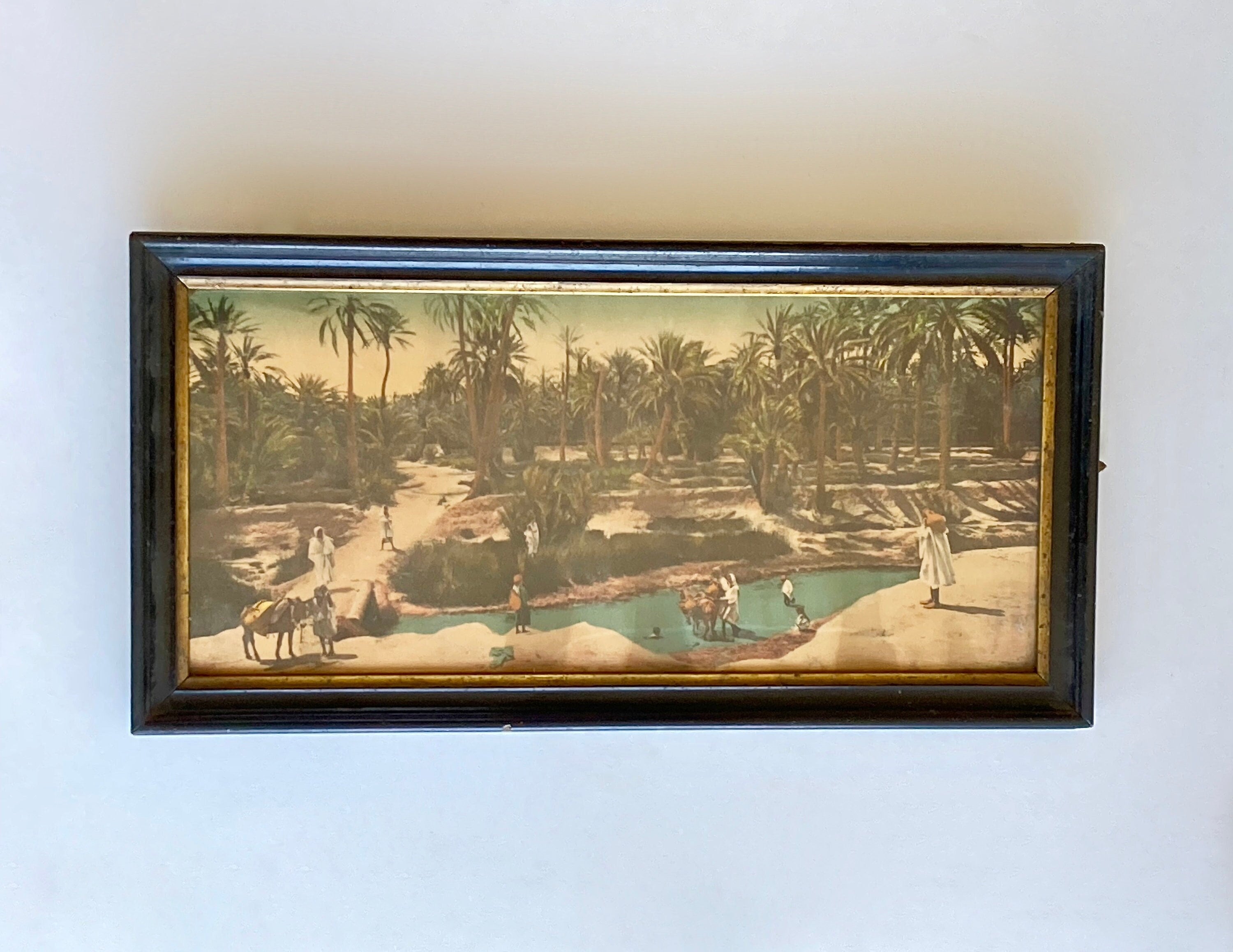 Chromolithographie Antique Du Paysage Tropical Africain, Photochrome Encadrée Sous Verre