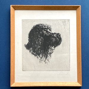 Litografia tedesca d'epoca di un cane firmata dall'artista, anni '60 Ritratto incorniciato di un cane nero