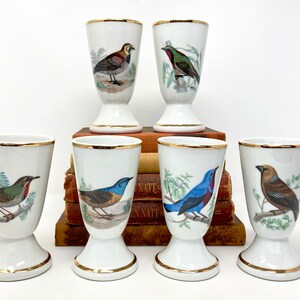 Vintage French Porcelain Coffee Glasses: Set of 6 Ceramic Mazagrans with Colorful Bird Motifs
