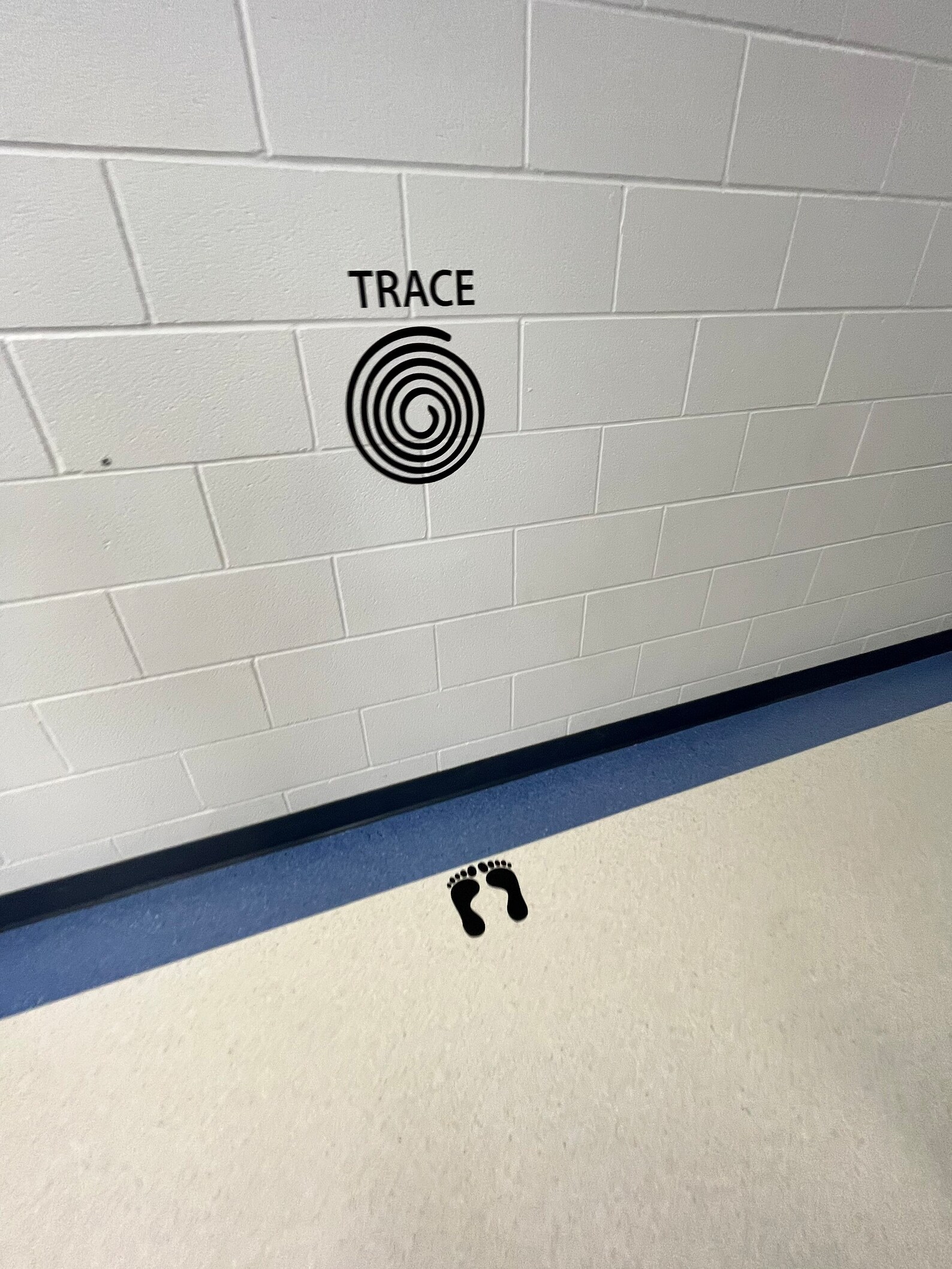 Trace - Sensory Path, Sensory, Wall Decals, Educational Decal, School ...