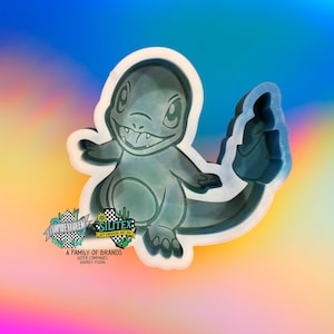 Charman.Pok Silicone Mold -Silicone Molds for Freshies, Silicone Mold, Soap Molds, Chocolate, Candle, Wax Melt Molds, Molds, Silicone