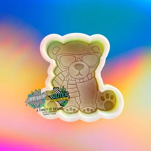 Cozy Bear Silicone Mold -Silicone Mold, Soap Molds, Silicone Mold for Freshies, Candle Mold, Food Molds